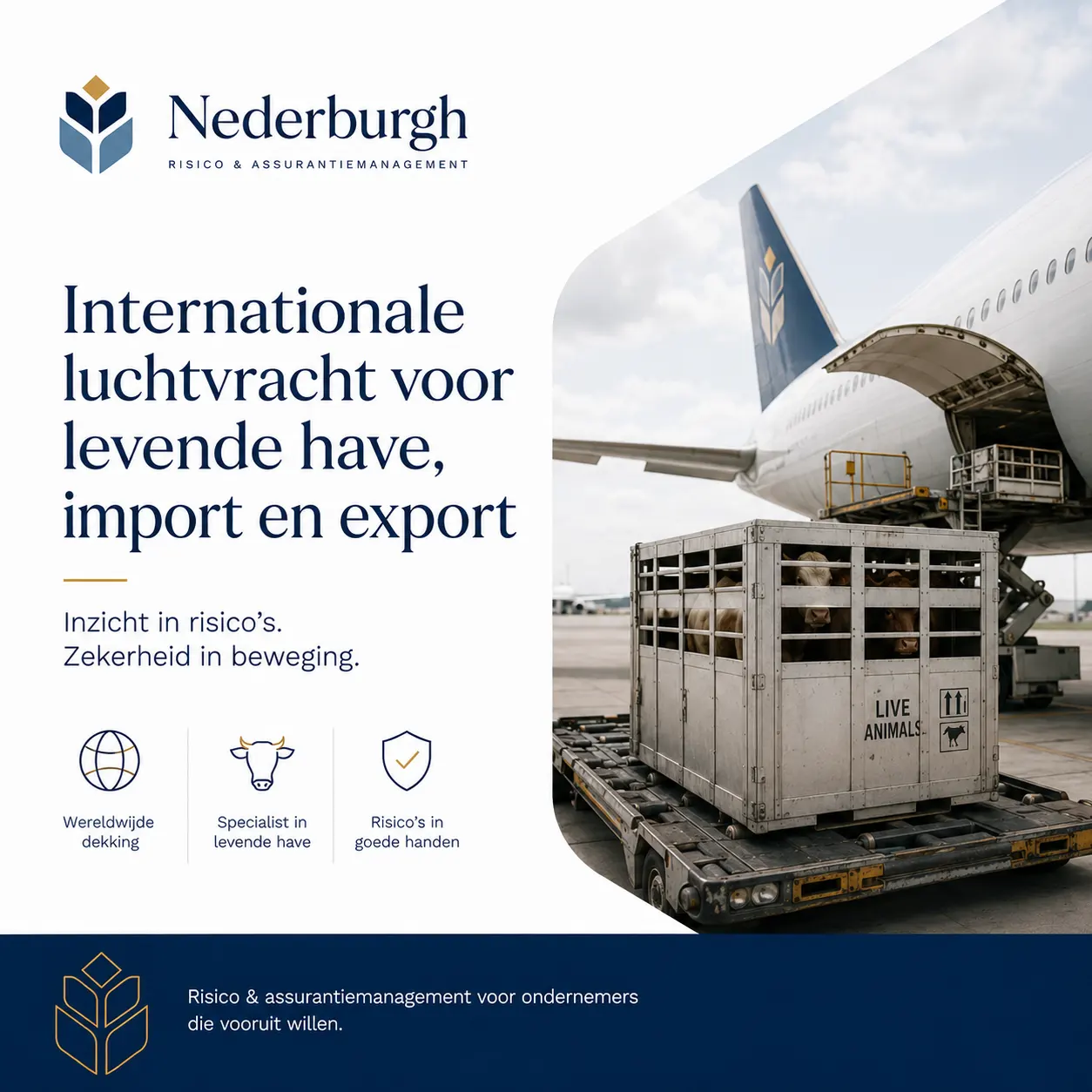 Internationale luchtvracht voor levende have , import en export